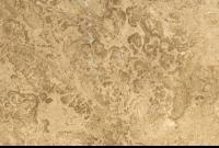 Nut Brown Limestone.jpg